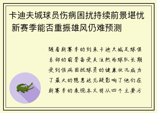 卡迪夫城球员伤病困扰持续前景堪忧 新赛季能否重振雄风仍难预测