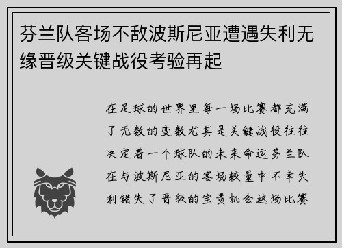 芬兰队客场不敌波斯尼亚遭遇失利无缘晋级关键战役考验再起