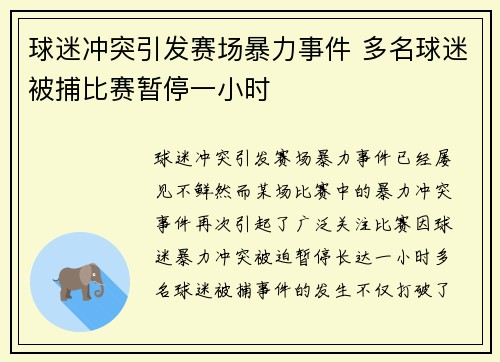 球迷冲突引发赛场暴力事件 多名球迷被捕比赛暂停一小时